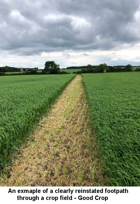 Good Crop